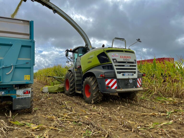 Travaux agricoles